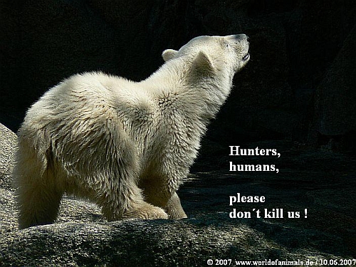 Hunters, humans, please don�t kill us